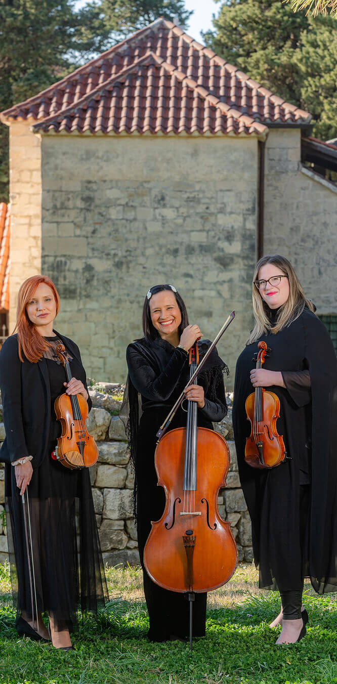 String trio with classical and modern arrangements for your wedding, yacht or restaurant